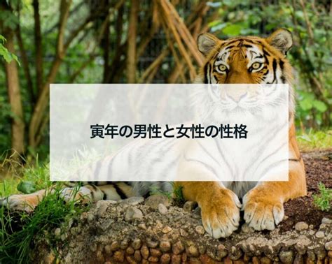 寅 年 男性 脈 あり|寅年(とら年)生まれの性格的特徴20個と恋愛・相性・芸能人.